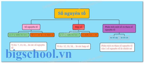 Số nguyên tố là gì? Kiến thức chuẩn và giải thích dễ hiểu 3 Lý thuyết Số nguyên tố. Hợp số. Phân tích một số ra thừa | Bài tập 365