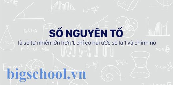 Số nguyên tố là gì? Kiến thức chuẩn và giải thích dễ hiểu 1 Số nguyên tố là gì? Tính chất, các phương pháp tìm số nguyên tố