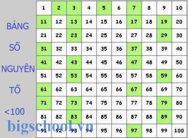 Số nguyên tố là gì? Kiến thức chuẩn và giải thích dễ hiểu 2 Số nguyên tố là gì? 10 Bài Tập Cơ Bản Về Số Nguyên Tố.