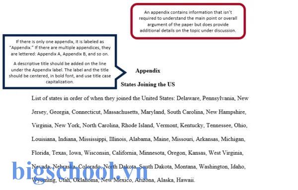 Appendix là gì? 3+ Loại Appendix Thường Gặp [2025]