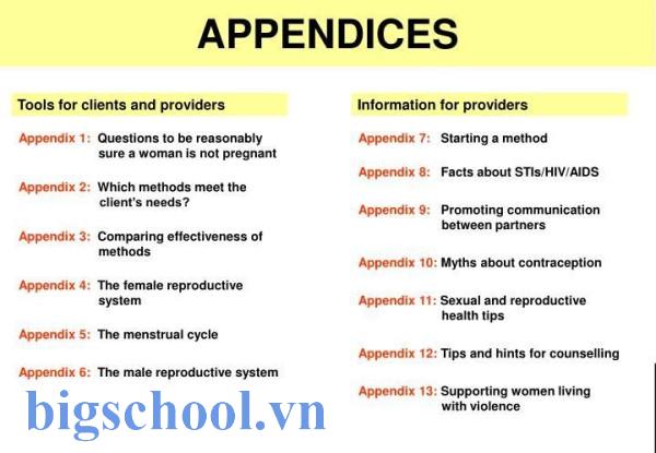 Appendix là gì? Nghĩa, cách dùng và ví dụ chi tiết, dễ hiểu 3 Phụ Lục