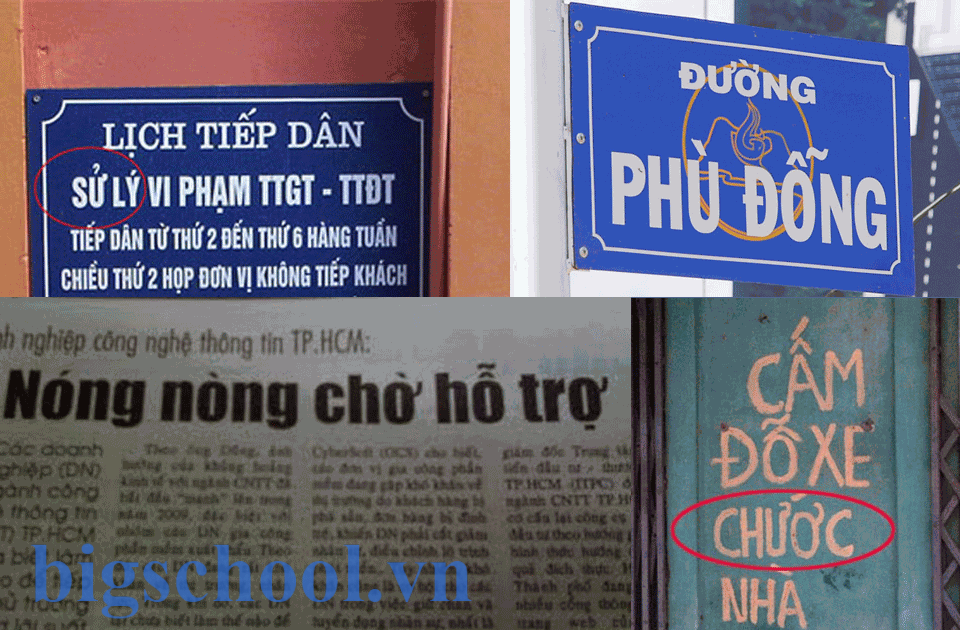 Chính tả là gì? Tầm quan trọng và cách viết đúng tiếng Việt 4 chinh ta la gi 3
