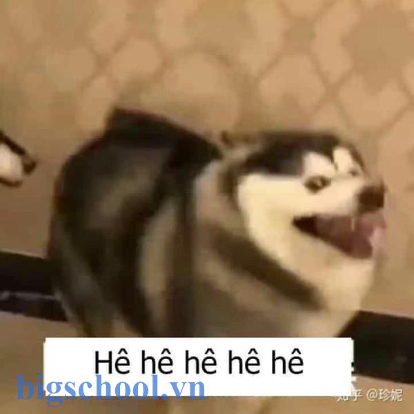 Hẹ hẹ hẹ là gì? Ý nghĩa, nguồn gốc và cách dùng 3 Hê hê hê =))