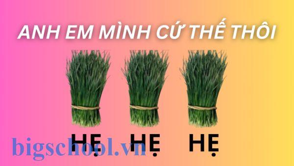 Hẹ hẹ hẹ là gì? Ý nghĩa, nguồn gốc và cách dùng 2 Anh em mình cứ thế thôi hẹ hẹ hẹ