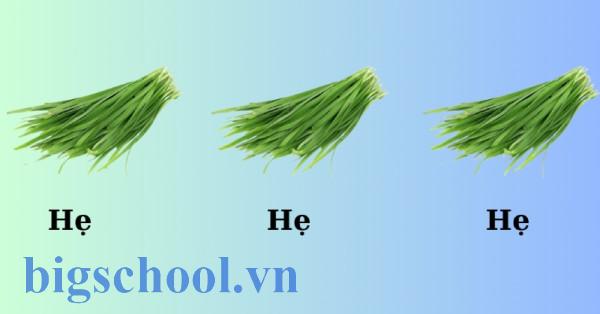 Hẹ hẹ hẹ là gì? Ý nghĩa, nguồn gốc và cách dùng 1 Hẹ hẹ hẹ là gì? Giải mã trend Anh em mình cứ thế thôi hẹ hẹ hẹ