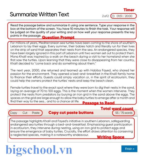 PTE Summarize Written Text: Templates and Tips [Updated 2025]