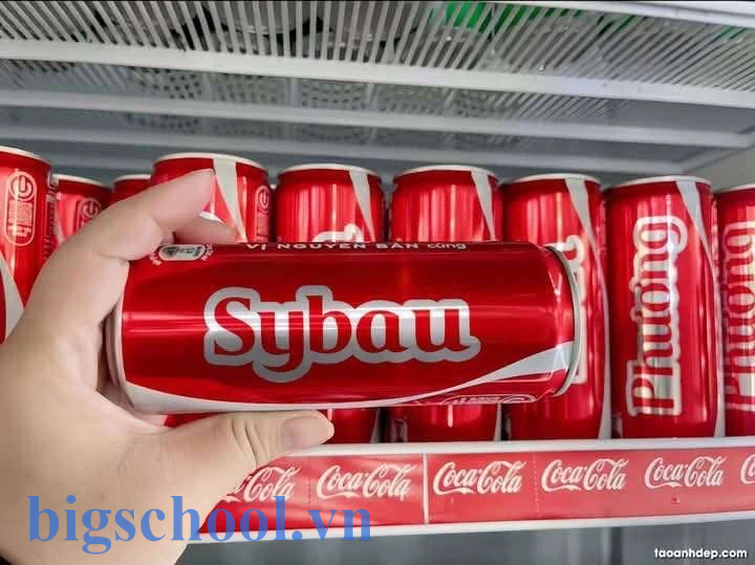 sybau nghĩa là gì