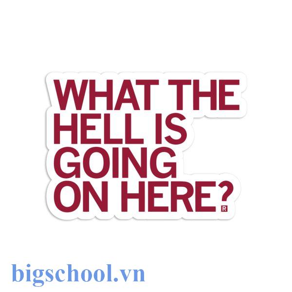 ví dụ dùng What The Hell