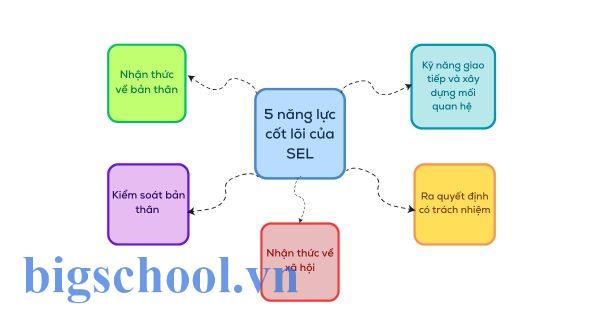 Social Emotional Learning là gì? Những điều cần biết về phương pháp này