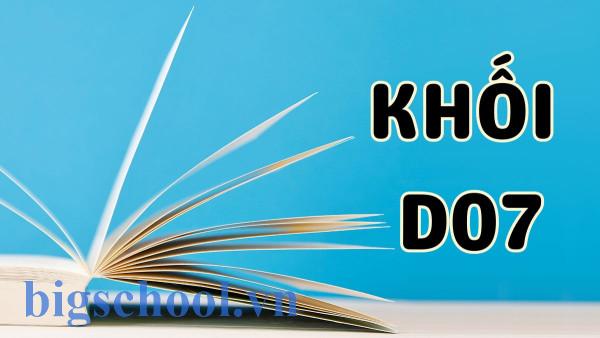 Khối D07 phù hợp với kiểu học sinh nào?