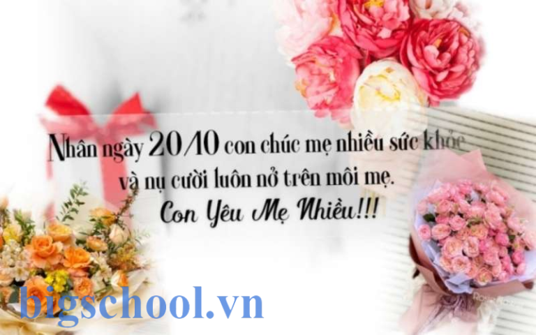 Lời chúc 20/10 cho mẹ cảm động, chân thực và ý nghĩa nhất 3 lời chúc 20 10 cho mẹ cảm động
