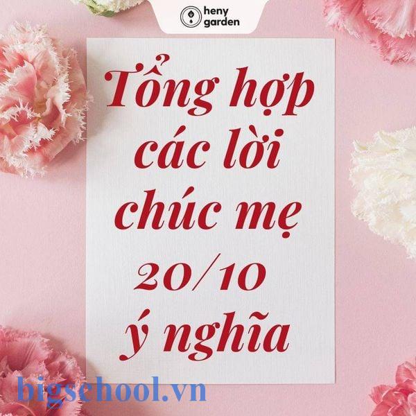 Lời chúc 20/10 cho mẹ cảm động, chân thực và ý nghĩa nhất 2 lời chúc 20 10 cho mẹ cảm động