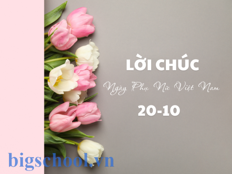 Lời chúc 20/10 cho người yêu ở xa hay và cảm động [2025]