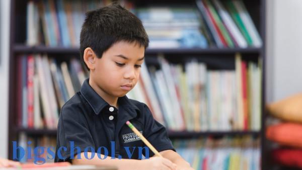 Violympic là gì? Chìa khóa kỹ năng số và học online 4.0 cho học sinh 2 Violympic Là Gì Và Những Giá Trị Hữu Ích Cho Các Bé