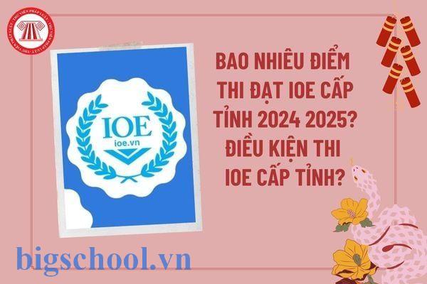 Quy định điểm xét giải IOE cấp Tỉnh 2025-2026 chính xác nhất 1 bao nhi u i m thi t ioe c p t nh 1764409810810jpg