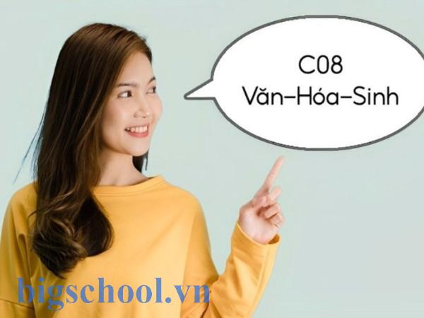 Khối C08 gồm những môn nào và cơ hội xét tuyển ngành Y Dược mới nhất
