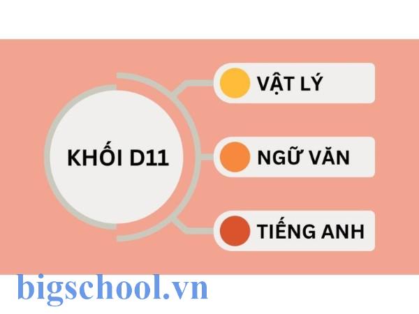 Khối D11 gồm những môn nào xét tuyển đại học năm 2025?