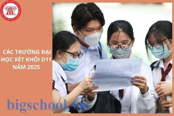 Khối D11 gồm những môn nào xét tuyển đại học năm 2025?