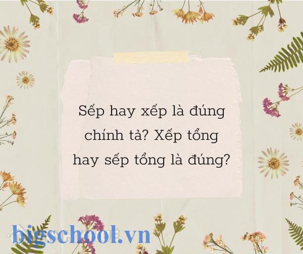 Sếp hay xếp: Dùng đúng chuẩn, tự tin tránh sai 2025 5 s p hay x p 1764217884498jpg