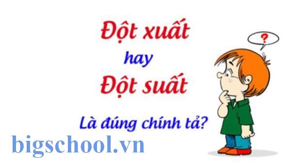 đột xuất hay đột suất