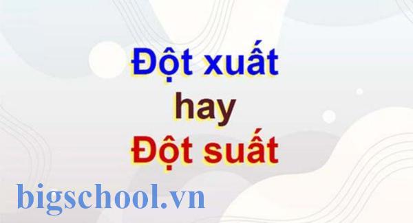 đột xuất hay đột suất