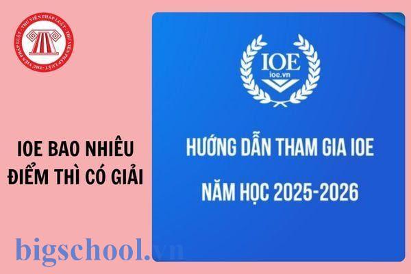 thi IOE có giải không