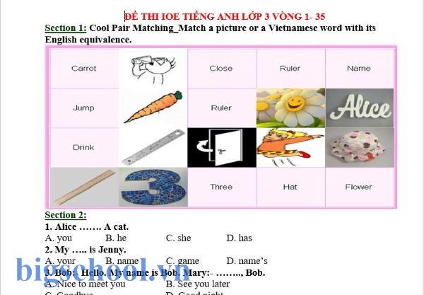 Tải Trọn Bộ Đề Thi IOE Lớp 3 Năm 2025 Kèm File Nghe 2 đề thi ioe lớp 3