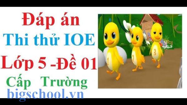 Bộ đề thi IOE lớp 5 có đáp án kèm file nghe chuẩn format 2026 3 đề thi ioe lớp 5
