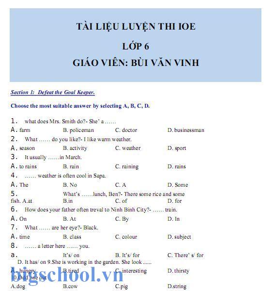 Tải Bộ Đề Thi IOE Lớp 6 Năm 2025 Có File Nghe Kèm Đáp Án Mới Nhất 2 đề thi ioe lớp 6