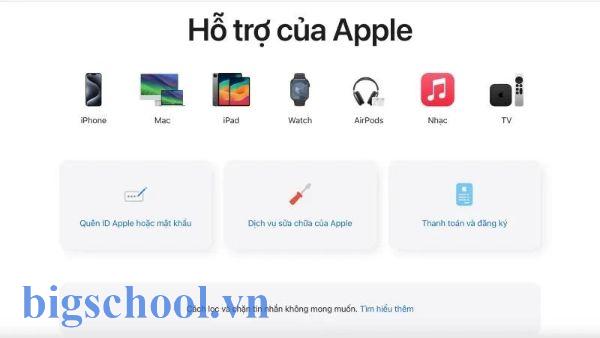 Thi IOE trên iPad được không? Quy định thiết bị chuẩn từ BTC 2026 2 thi IOE trên iPad được không