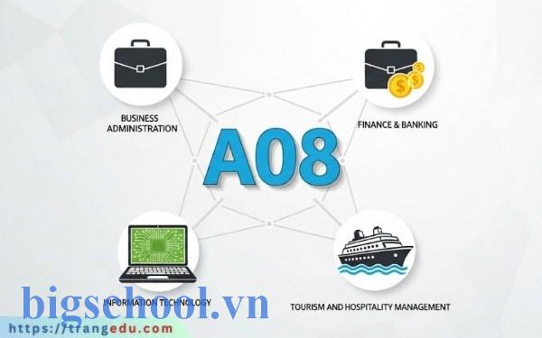 Tổ hợp X17 gồm những môn nào để xét tuyển đại học 2025?